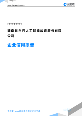 湖南省自興人工智能教育服務企業信用報告與湖南智能服務發展分析